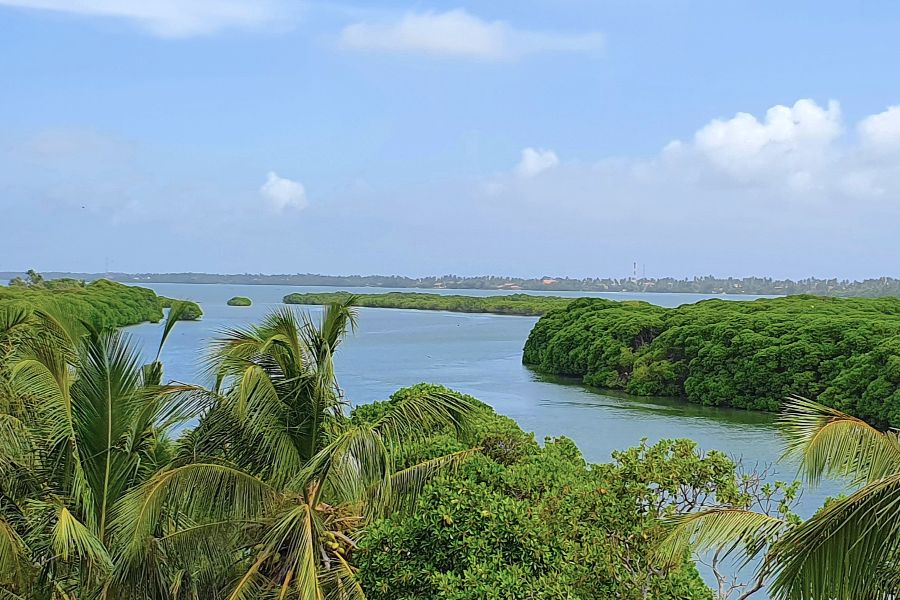 74. photo gallery.jpg